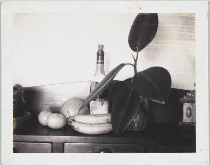 Untitled (Still LIfe). n.d. Whitney Museum of American Art, New York; The Roy Lichtenstein Study Collection, gift of the Roy Lichtenstein Foundation