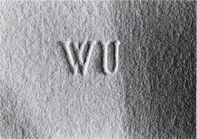 Washington University Printmaking Workshop, St. Louis