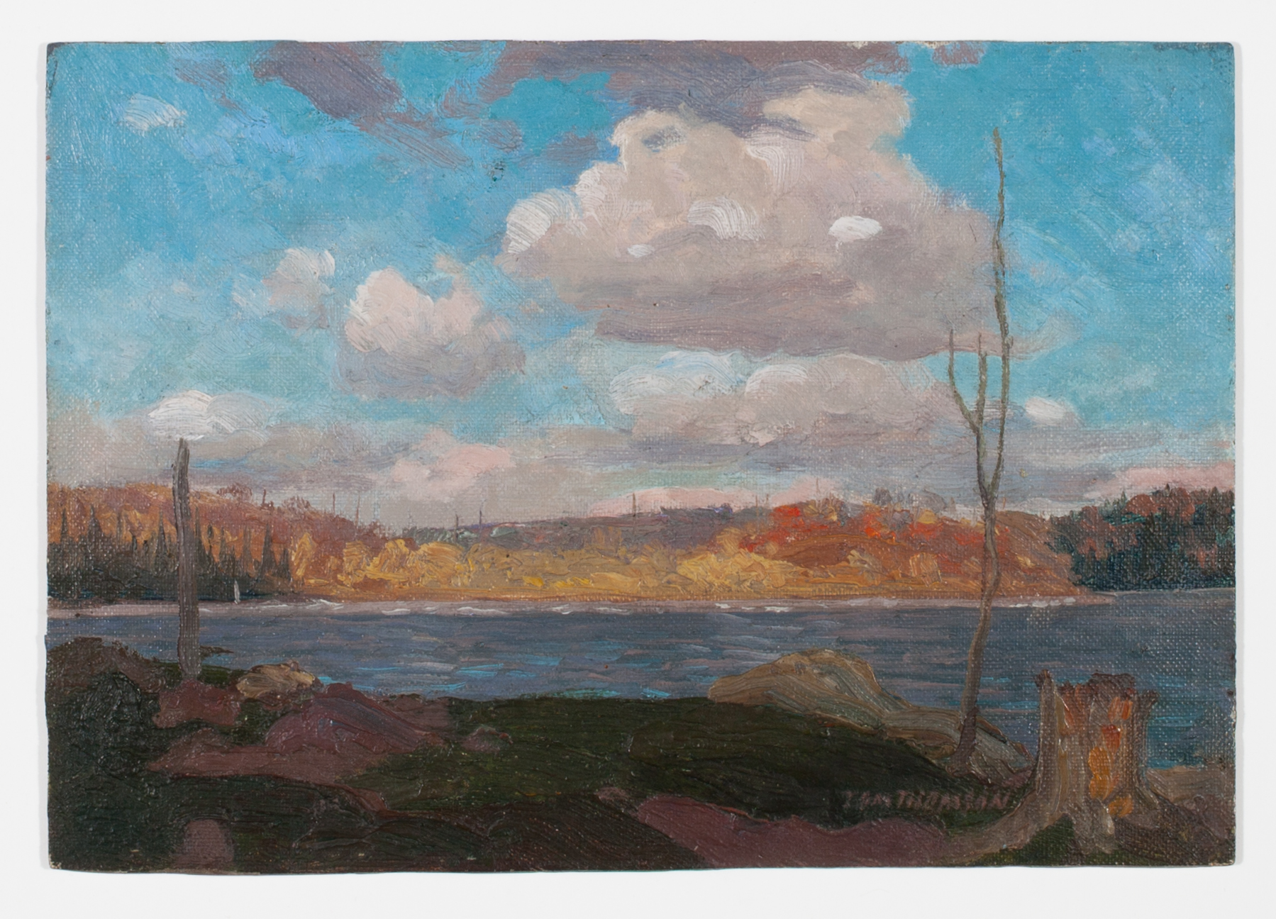 Artists exploring identity might include which themes? picture